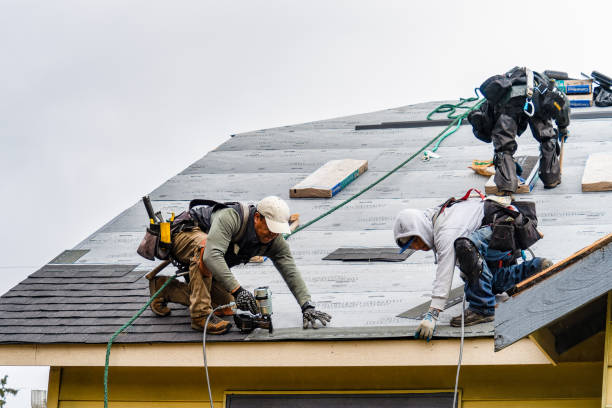 Professional Gutter Installation technician working in Cape Charles, VA